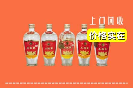 汉中城固县回收老五粮液